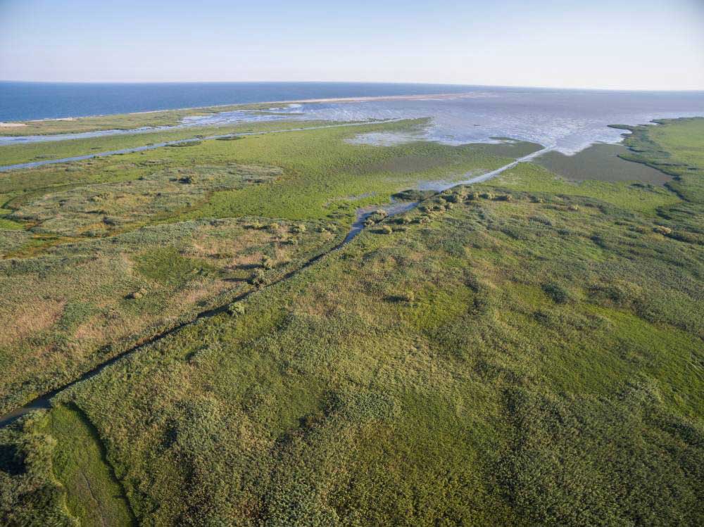 Plimbari cu barca in Delta Dunarii