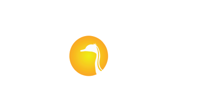 Bobocel - Cazare Sfantu Gheorghe Delta Dunarii